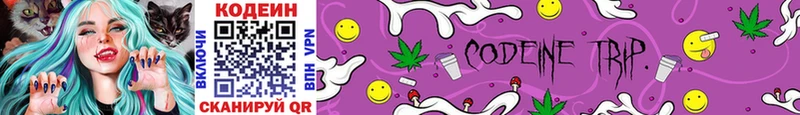 Купить  Аргун  Кодеин Purple Drank 